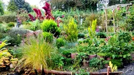 20170930_161417.webp