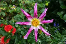 B025.webp
