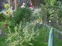 P1020075garten.webp