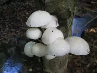 010_1024x768.webp