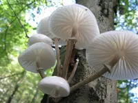011_1024x768.webp