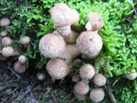 001_1024x768.webp