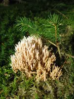 014_576x768.webp