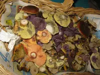 016_1024x768.JPG