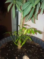 IMG_20171001_195444.webp
