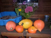 001.webp