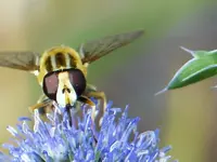 image004.jpg
