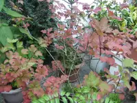 BILD8293.webp