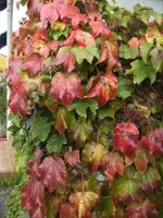 BILD8327.webp
