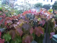 BILD8330.webp