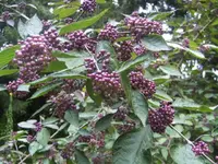 BILD8281.webp