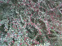 BILD8319.webp