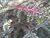 BILD8325.webp