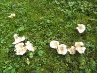 BILD8380.webp