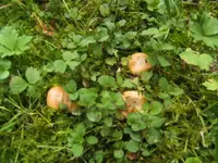 BILD8304.webp
