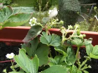 BILD8393.webp