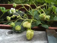 BILD8392.webp