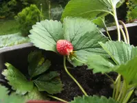BILD8391.webp