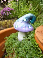 Pilz_Lila.webp