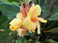 DSCI2672.webp