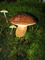 001_576x768.webp