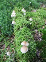 012_576x768.webp