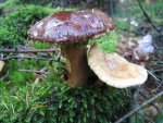 freunde_1024x768.JPG