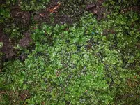 20171003_193416.webp