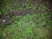 20171003_193410.webp