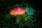 20171001-DSC_2486.jpg
