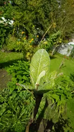 20171003_125956.webp