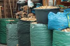 in Tüten abgepackt_900.webp in Tüten abgepackt_900.webp