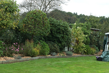 Langbeet links unten fertig_900.webp Langbeet links unten fertig_900.webp