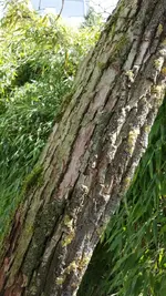 IMG-20171004-WA0008.webp