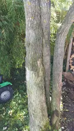 IMG-20171004-WA0001.webp