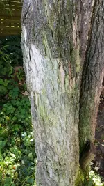 IMG-20171004-WA0002.webp