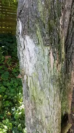 IMG-20171004-WA0005.webp