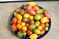 IMG_0939.webp