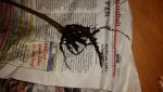 20171005_055657.jpg