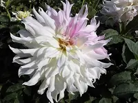 DSCI2657.webp