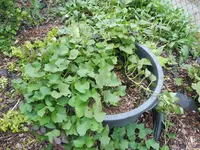 P1020164.webp