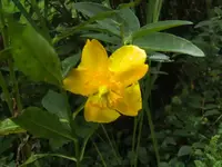 BILD8282.webp