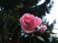 BILD8320.webp