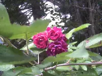 BILD8324.webp