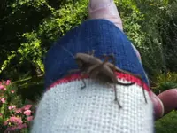 BILD8351.webp