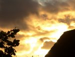 image004.jpg