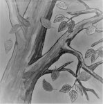 image002.jpg
