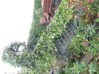 Sturm.webp