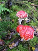 001_576x768.webp