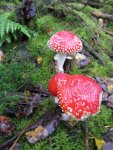 001_576x768.JPG